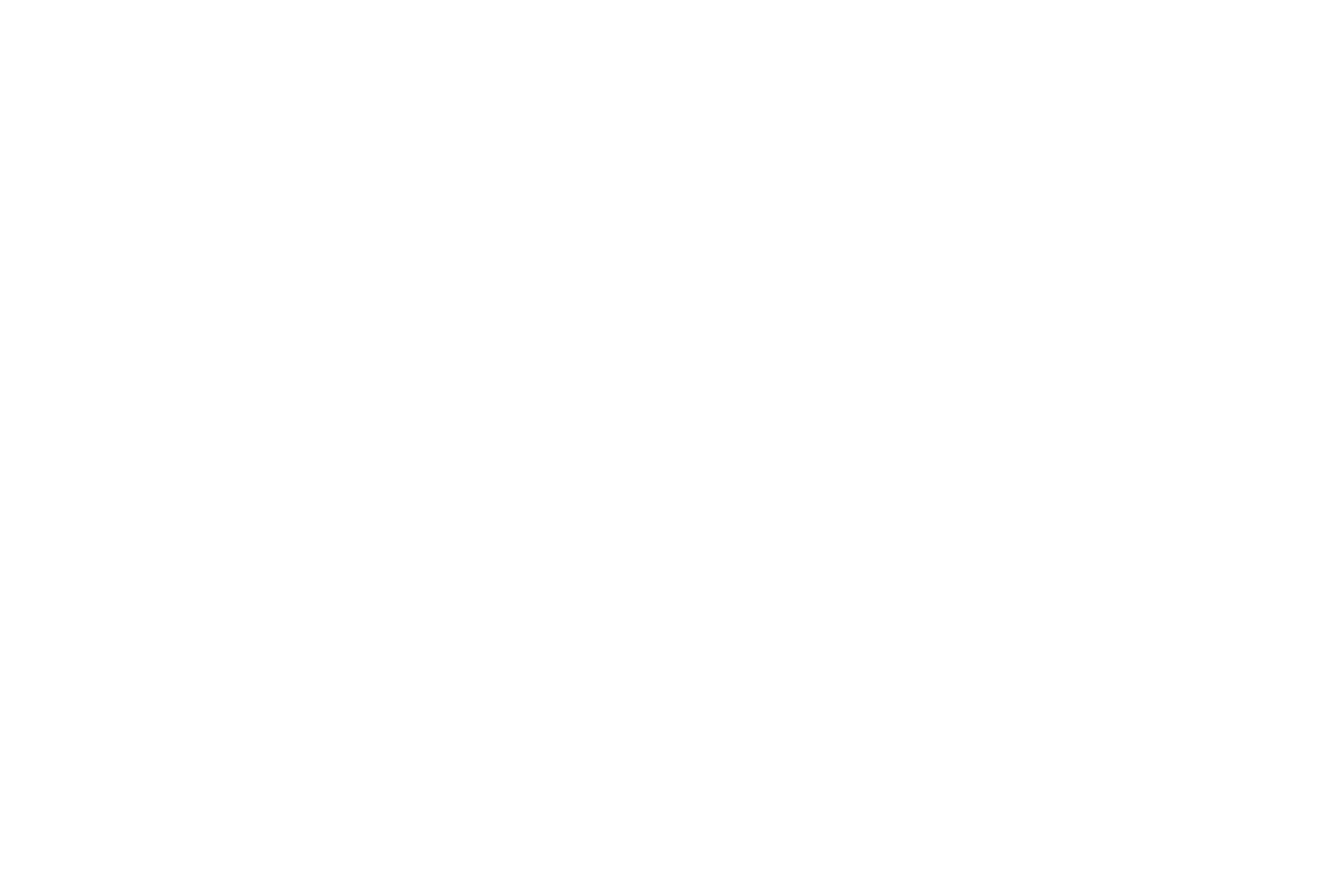 Suomen Street Workout yhdistys